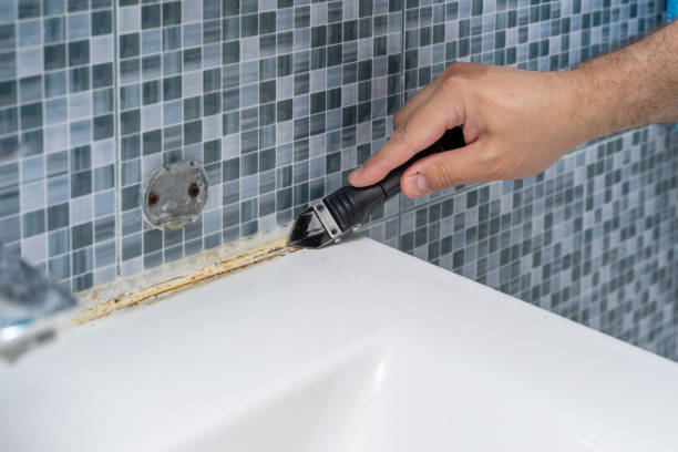 Best Mold Testing and Inspection Services in El Valle De Arroyo Seco, NM